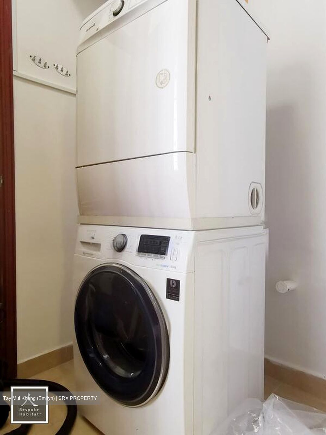 Parc Vista (D22), Condominium #496944361